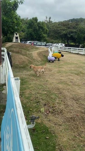 5M25D｜隔壁比較好玩，走