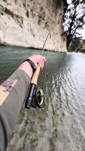 Big eyes on this guy! Fought like a beast 🎣🔥🔥 @Addicted2Trout #fyp #nz #flyfishing #troutfishing #newzealand #trout #freshwater #stream #bigfish #nztrout #outdoors #nzticktok #mission #2024 #fish #viral #rainbowtrout #bowhunting