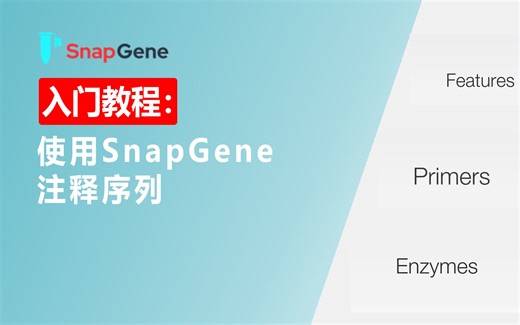 入门教程：如何使用SnapGene进行注释序列