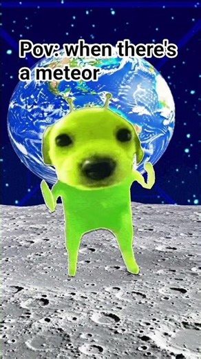 alien dawg #funny #memes #dog #alien #pov