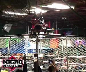 Pushups on the top of a steel cage by King Micro! #microwrestlingfederation #megamicrofun | Micro Wrestling Federation