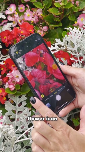 Master Your Flower Shots! #iphonevideo #photography #photoediting #iphonecamera #iphone #photoideas