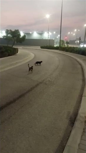 cet live 📷📷📷📷📷