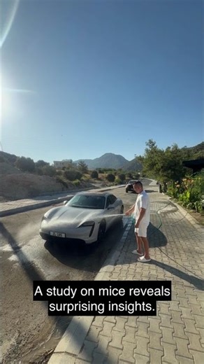 Unlocking Anxiety: The Shocking Role of Brain's Immune Cells Revealed!