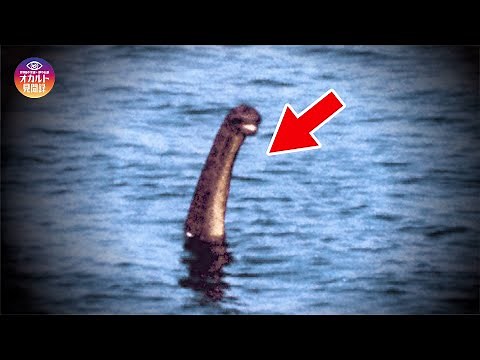 [UMA] Search for Nessie at the end of August 2023: A look back at the history of Nessie in photos