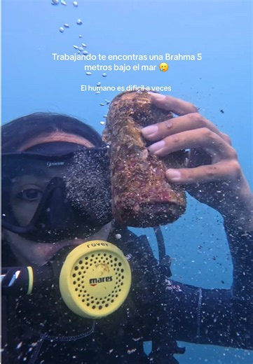 Os vídeos de Luadomare 🌴🐠 (@luadomare) com original sound - 7AJ🎧