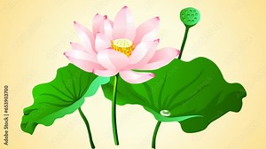 lotus flower background and 2d animation, nature flowers, lotus, beautiful flowers