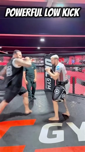 Low kick power #lowkick #mma #seldefense