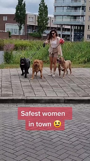 Are you not the safest women in town 😃?, when you walk with 3 huge XL American bully males from 1 to 10 years old. #savewomen #protecting #strongwomen #strongestdogs #americanbully #pitbullsofinstagram #pitbull