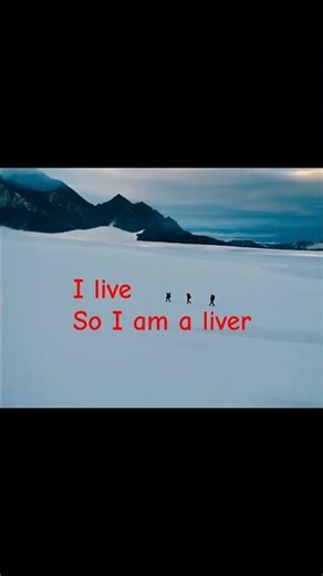 Day 84/365 📽️ The Secret Life of Walter Mitty | one of the most visually stunning film