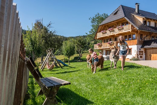 Schwarzwald mit Kindern: 30 schöne Ausflugsziele für Familien – StadtLandTour.de