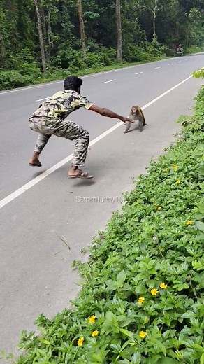 Digital new Hanuman comedian funny monkey #Reel #reelsfb #funny #reels | Samim funny1M