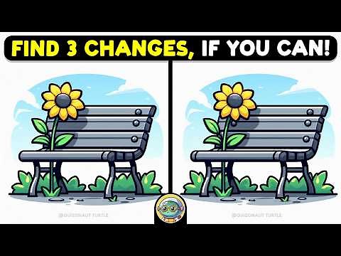 🐢🧩 Find 3 Differences | The Ultimate Brain Workout 🧩🐢 | Quizonaut Turtle