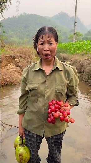 Harvesting grapes | This is why farming is fun #farmlife #funny