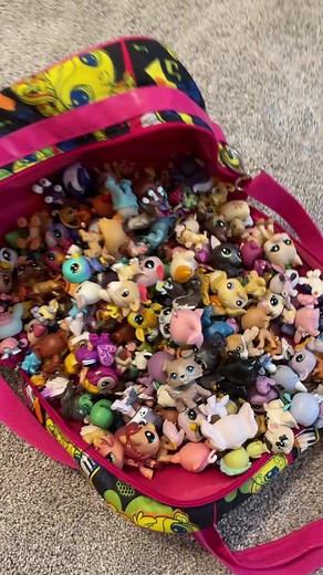 #lps #littlestpetshop #lpstiktok #fyp #foryou #foryoupage