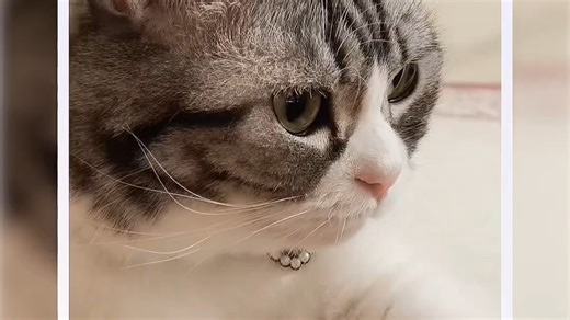 12个OPPOReno15神级操作❇️不会=白买#OPPOReno15#手机技巧#OPPO#ColorOS16-7575118847552930889