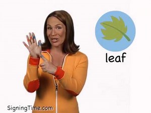 leaf