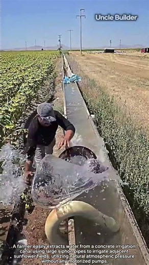 How Siphon Effect Transfers Irrigation Water Effortlessly #engineering #agriculture #farming #pipe