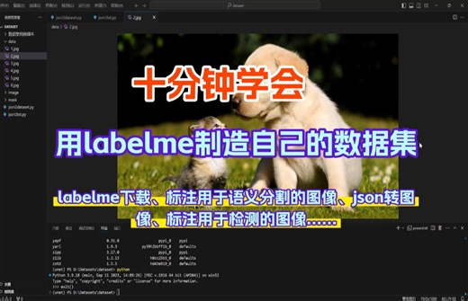 【深度学习炼丹师基本功】超详细教学使用labelme打标签，制造用于语义分割、目标检测的数据集！-人工智能|深度学习