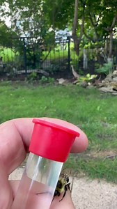 11K views · 480 reactions | I don’t always get hummingbirds, sometimes I get twerking bumblebees. Equally special. | Coppervine Feeders | Facebook