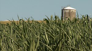 Proposed 4-million gallon manure pit stirring up controversy in Camillus