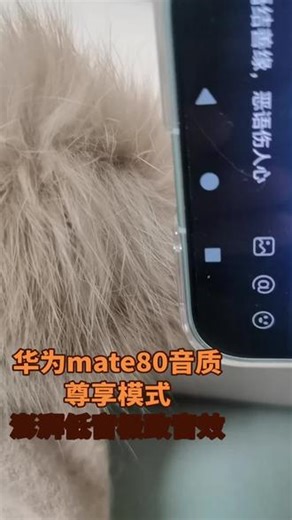 sddywss在抖音记录美好生活20260106