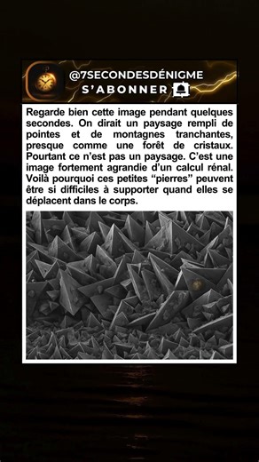 Ce “paysage” est en réalité une pierre du corps