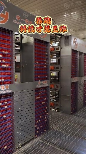 Fully automatic chicken farm #chicken #factory#equipment #automobile