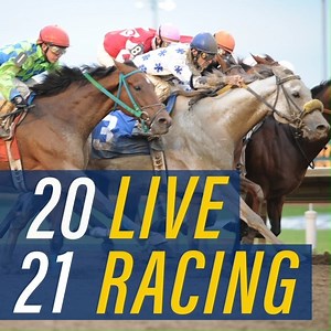 14 reactions |  LIVE RACING RETURNS ONE MONTH FROM TODAY! We are so excited for race season. Join us trackside for all the action. To see our 2021 race schedule, visit rebrand.ly/pmqqolf. | Prairie Meadows Casino, Racetrack & Hotel | Facebook