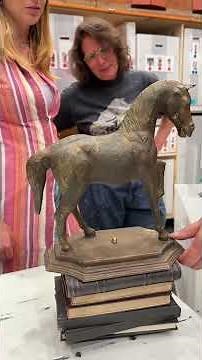 Come with us to unpack the cabinet of curiosities!