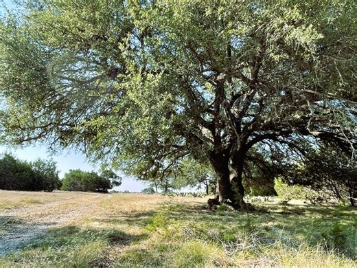 4547 County Road 108, Burnet, TX 78611 - Burnet County 50 Acres | LoopNet