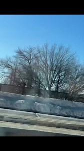 Memorial Bridge Lit | Springfield Productions