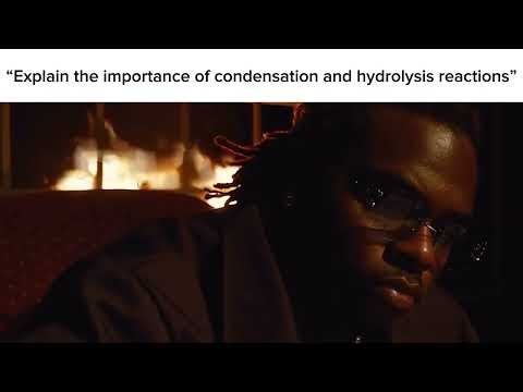 A Level AQA Bio Paper 3 Slander 2025 + bonus AQA slander