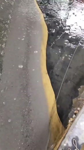 #Drum Screen Gold Washing Machine #Mineral Processing Equipment #Gold Extraction Equipment #Gold