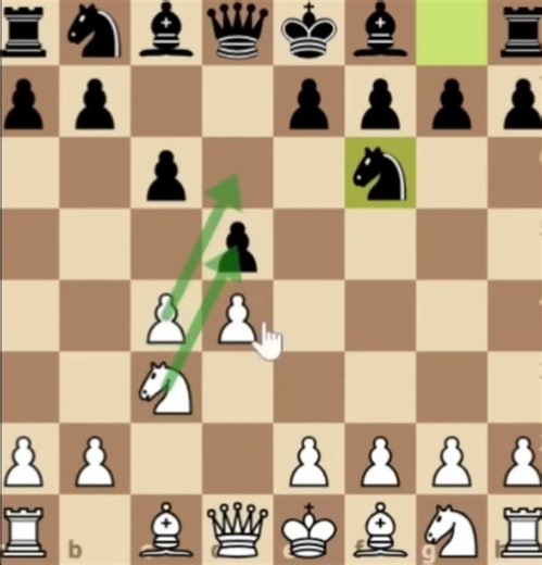 Basic Principles Chess