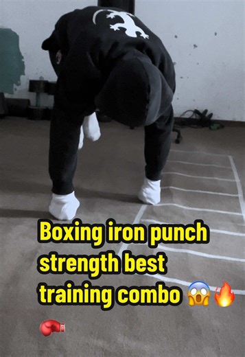 Ultimate Boxing Iron Punch Strength Training Combo