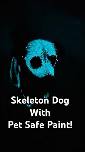 Adorable Dog Costume DIY Using Pet Safe Paint! #Dogs #HalloweenCostume #SpookySeason