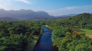 Studying forest biomass from space