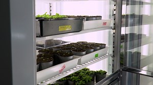 Author Spotlight: Advancing Stomatal Research with Automated Aperture Measurement