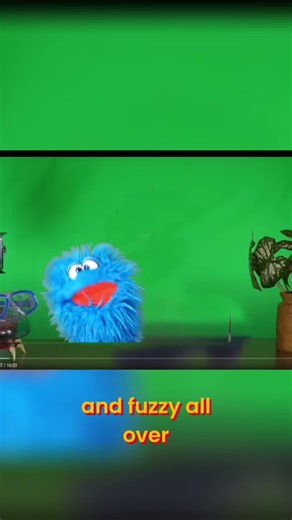 Scared and Blue? Unraveling the Fuzzy Mystery! #shorts