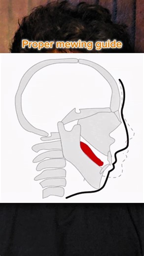 Pragy Gurjar | Most people “think” they’re mewing… but 99% are doing it wrong Here’s how to do it properly — step by step 👇 1️⃣ Say “N / la / na / da /... | Instagram