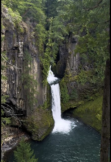 I miss robin williams #oregon #pnw #nature #fyp