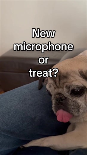 Sleepy Jade Mistakes Microphone for Treat!