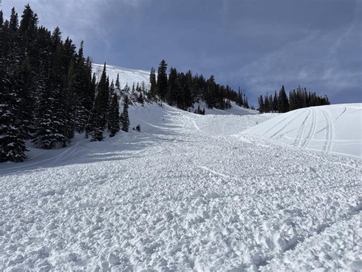 Fires, bugs, and avalanches... oh my! Officials warn of warm weather risks in the outdoors