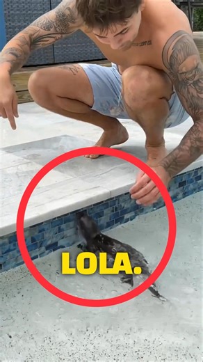 Baby Otter’s First Swim 🦦💦 #shorts