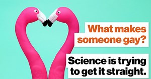 What makes someone gay? Science is trying to get it straight.