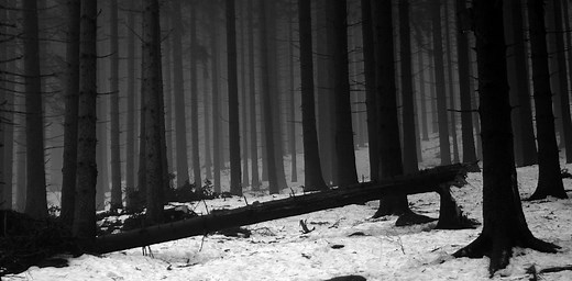 Decoding the music masterpieces: Schubert’s Winterreise
