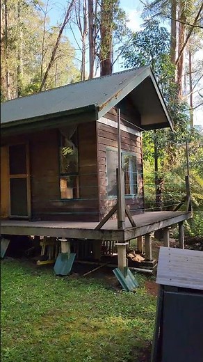 Cedar Kuti Vimokkharam | Buddhist Meditation Cabin Mountain Ash Forest | Ajahn Dhammasiha #buddhism