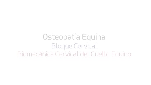 3_Biomecánica_Cervical_teoria_equino (ESPAÑOL)