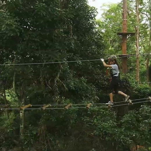 Amazing Family Adventure in the Sunshine Coast ‪@treetopchallenge‬ Big Pineapple